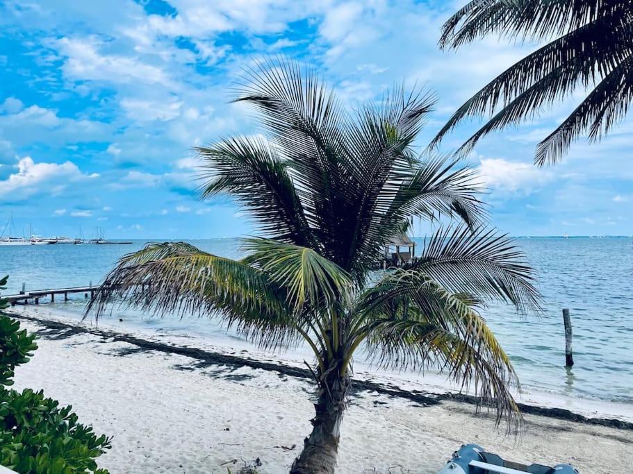 Punta Me Apartments With Nice Sea View & Beach Cancun Ngoại thất bức ảnh